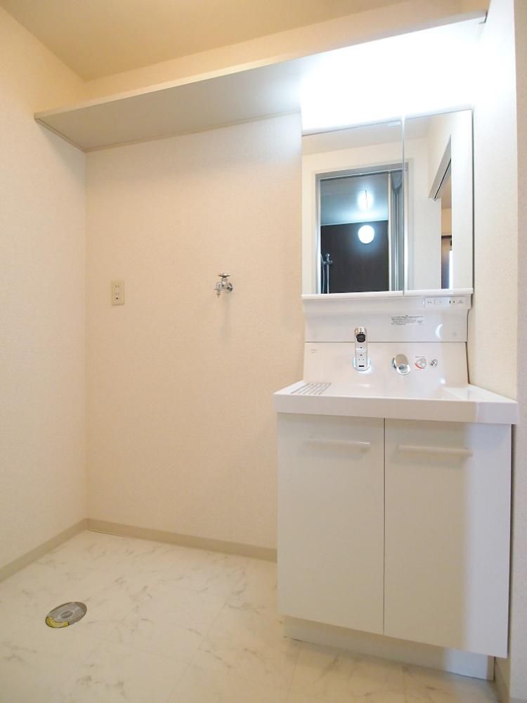 �y���ʏ��z�@�V�����[�t�����ʑ�